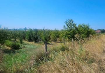 Ograđeno zemljište [Đakovo], Đakovo, Hrvatska