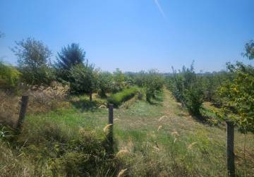 Ograđeno zemljište [Đakovo], Đakovo, Hrvatska