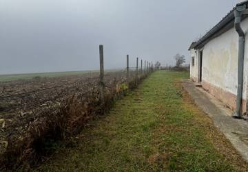 Kuća s dvorištem + oranica [Forkuševci], Forkuševci, Hrvatska