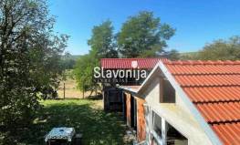RENOVIRANA VISOKA PRIZEMNICA U MAJARU!, Majar, Hrvatska