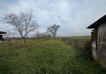 prizemnica tomašanci, Tomašanci, Kroatien