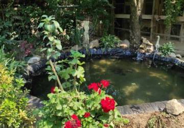 Prostrana kuća s poslovnim prostorom [Kuševac], Đakovo, Kroatien