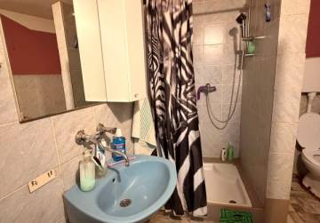 Obiteljska kuća s velikom okućnicom i pomoćnim objektima [Dopsin], Osijek, Hrvatska