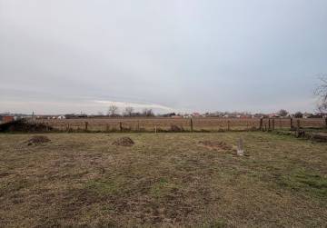 Obiteljska kuća s većom okućnicom [Viškovci], Viškovci, Hrvatska