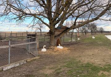 Imanje s privatnim jezerom/ribnjakom [Lug Subotički], Našice, Хорватия