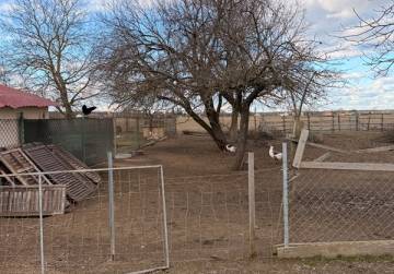 Imanje s privatnim jezerom/ribnjakom [Lug Subotički], Našice, Хорватия