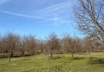 Obiteljska kuća [Forkuševci], Forkuševci, Хорватия