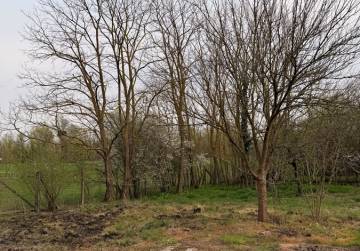 Kuća uz Dunav [Draž], Osijek, Хорватия