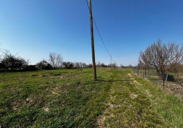 farma erdut, Osijek, Kroatien