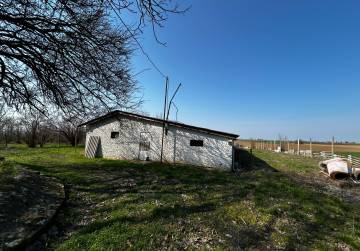 farma erdut, Osijek, Kroatien