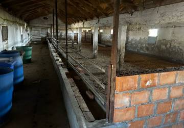 farma erdut, Osijek, Kroatien