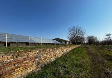 farma erdut, Osijek, Kroatien
