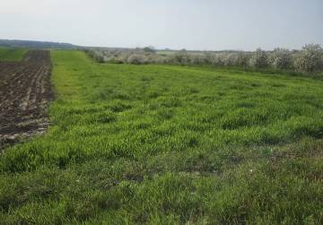 TOP LOKACIJA POLJOPRIVREDNOG  ZEMLJIŠTA, ĐAKOVO, Đakovo, Hrvatska