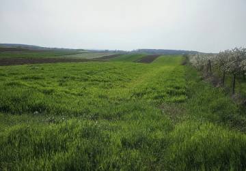 TOP LOKACIJA POLJOPRIVREDNOG  ZEMLJIŠTA, ĐAKOVO, Đakovo, Hrvatska