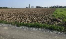 ZEMLJIŠTE JOŠAVA, Đakovo, Croatia